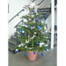Xmas #2